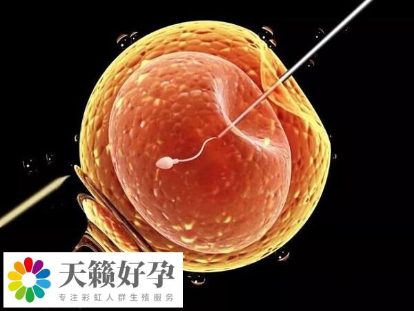 四川省婦女兒(er) 童醫院的成功率在55%以上