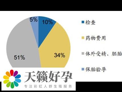 試管嬰兒(er) 費用構成