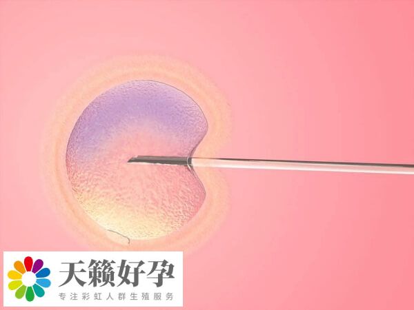 醫院試管嬰兒(er) 成功率