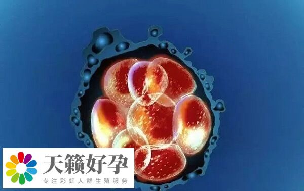 身體(ti) 情況是影響試管嬰兒(er) 成功率因素之一