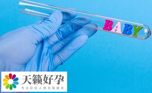 卵子和胚胎質量會(hui) 影響試管嬰兒(er) 成功率