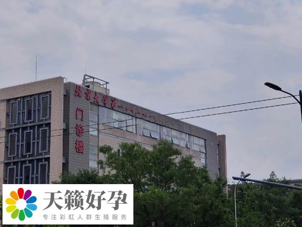 試管需要哪些檢查