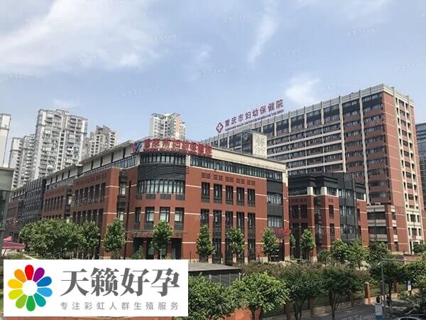 重慶三代試管成功率多少