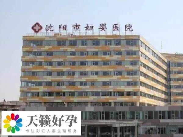 沈陽三代試管成功率多少