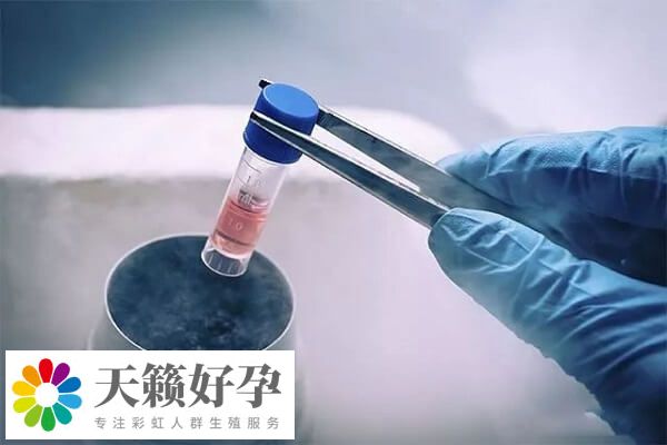 年齡是影響試管嬰兒(er) 成功率的一大因素