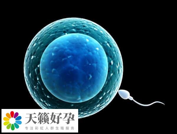 女性年齡是影響試管嬰兒(er) 成功率因素之一