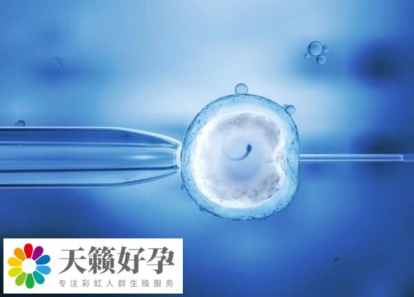 年齡會(hui) 影響試管嬰兒(er) 成功率