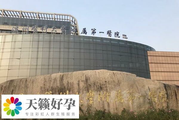 溫醫一院二代試管檢查費用多少