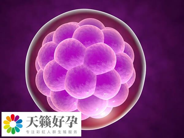 中山市博愛醫院試管嬰兒(er) 成功率較高