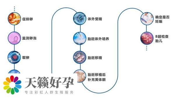 醫院試管嬰兒(er) 流程