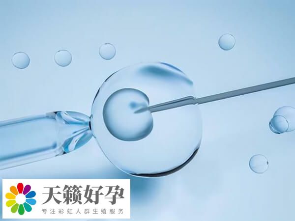 試管嬰兒(er) 成功率
