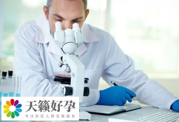 試管嬰兒(er) 成功率