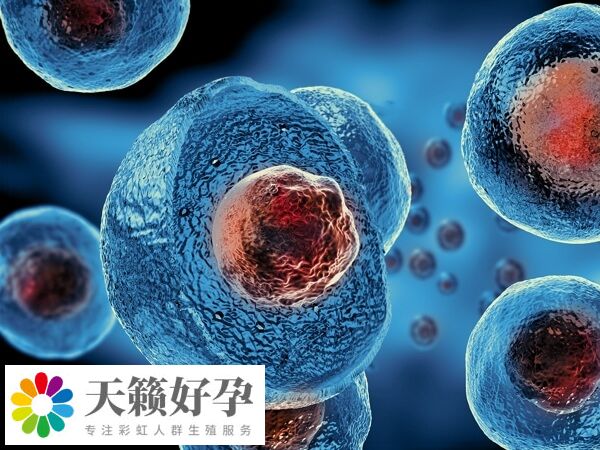 福州總院試管嬰兒(er) 費用