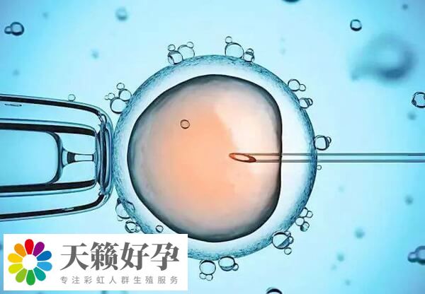 試管成功率和患者身體(ti) 有關(guan) 