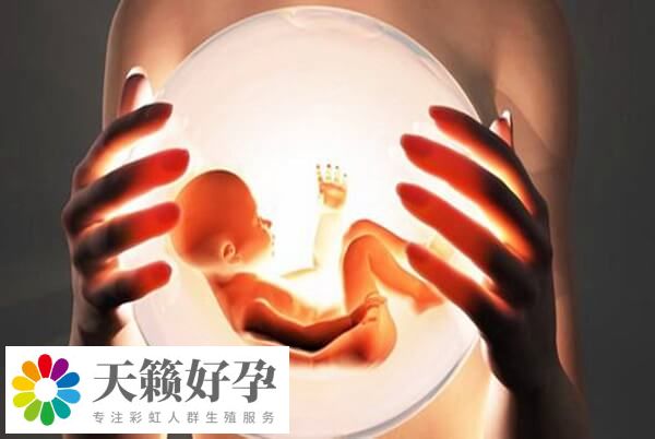 手術方案是影響試管嬰兒(er) 成功率的因素之一