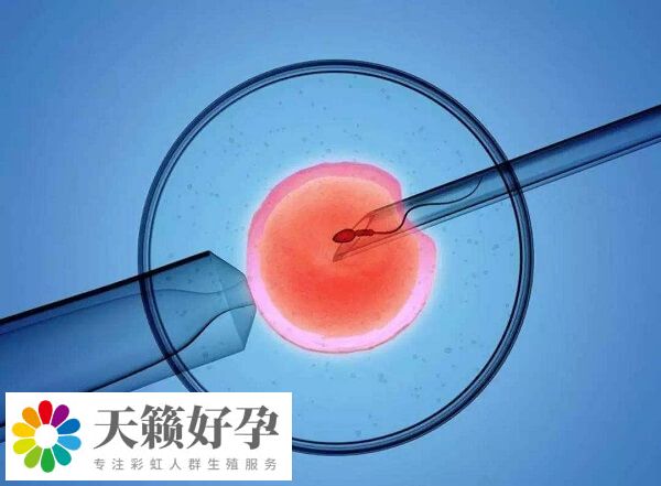 隻有符合條件的患者才可以做試管嬰兒(er) 