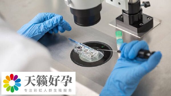 子宮內(nei) 環境會(hui) 影響試管嬰兒(er) 成功率