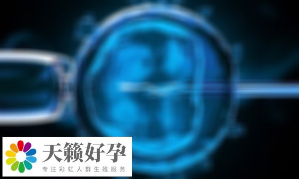 醫院試管嬰兒(er) 成功率