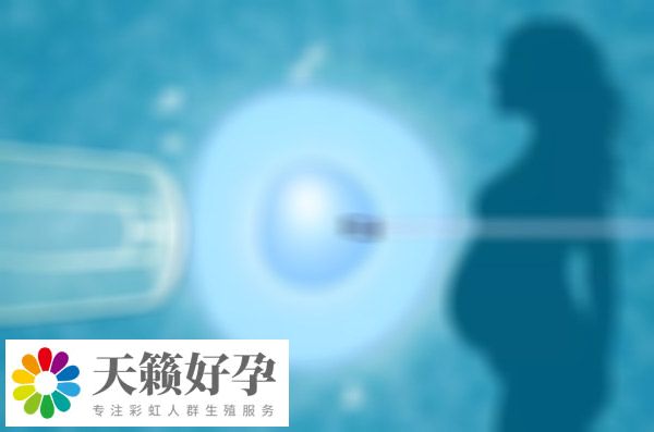 醫院試管嬰兒(er) 成功率