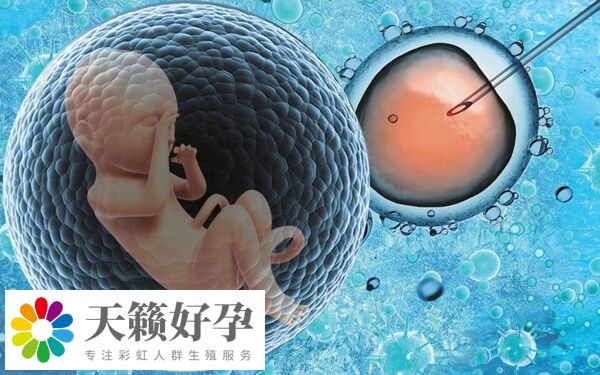 蘇大附一院臨(lin) 床妊娠率達到45%左右