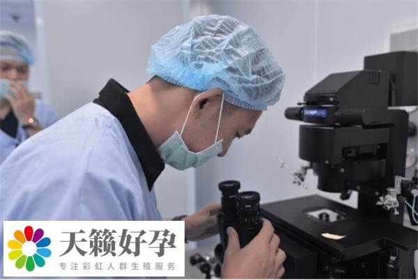 醫院試管單周期費用3萬(wan) 多