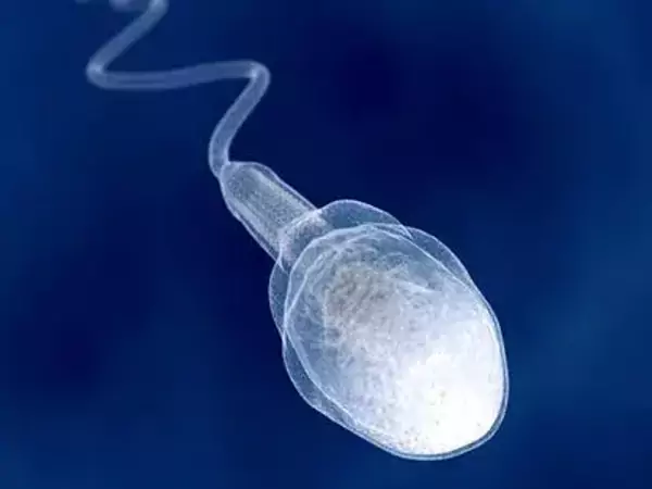 醫院試管嬰兒(er) 成功率達50左右%