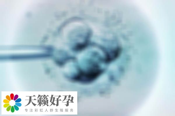 醫院試管嬰兒(er) 成功率