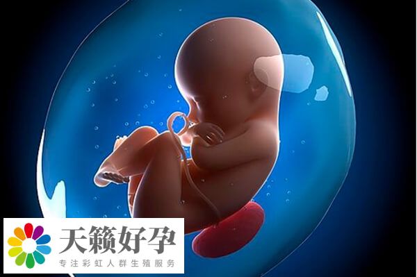 安醫附院試管嬰兒(er) 費用受多種因素影響