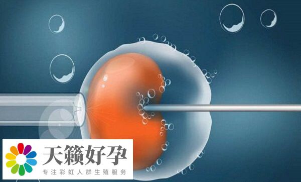 試管嬰兒(er) 成功率會(hui) 隨女性年齡增長下降