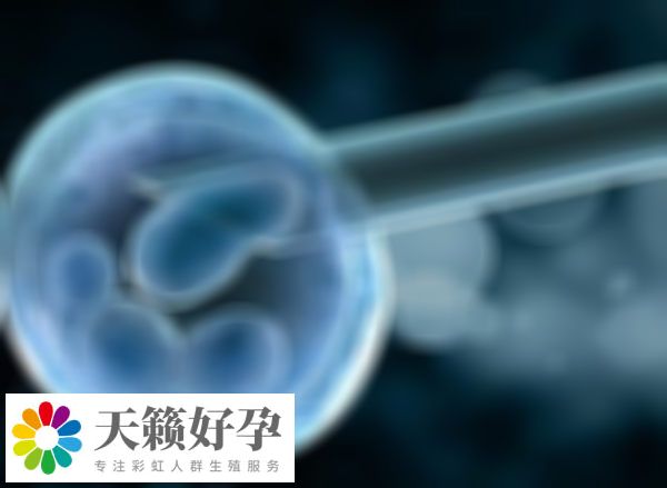 子宮異常會(hui) 影響試管嬰兒(er) 成功率