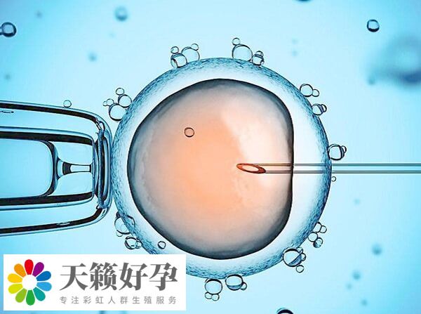 子宮環境是影響試管成功率因素之一