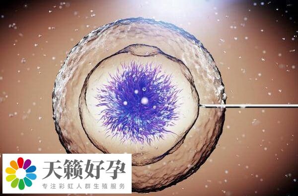 36-37歲女性試管移植妊娠率為(wei) 50%左右