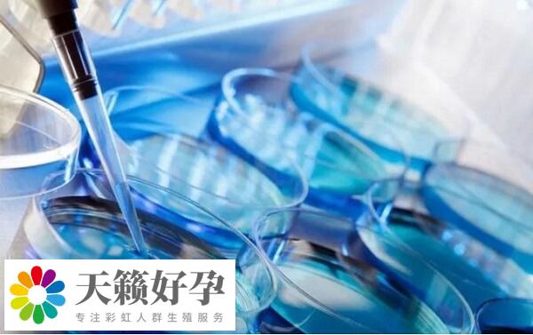 西北婦女兒(er) 童醫院試管成功率在52%左右