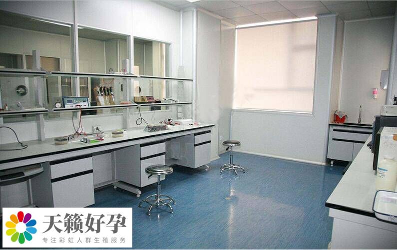 RFG超淨工作台