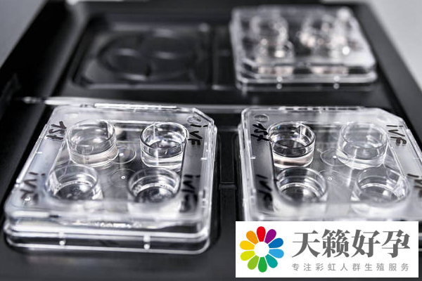 試管嬰兒(er) 和自然懷孕的區別是什麽(me) 