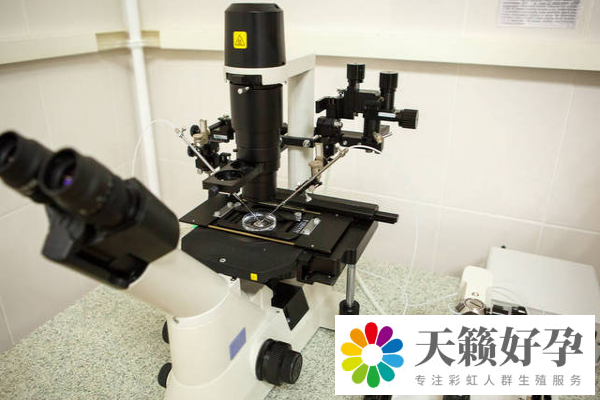 試管嬰兒(er) 和自然懷孕的區別介紹