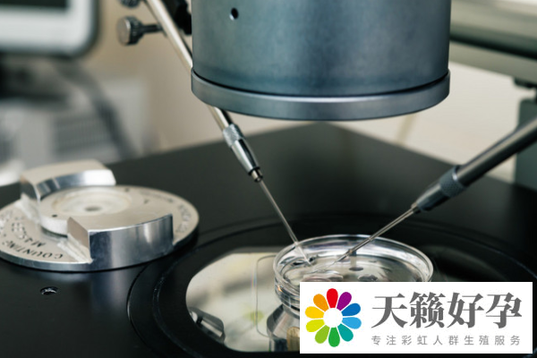 試管嬰兒(er) 費用為(wei) 什麽(me) 每個(ge) 人不一樣