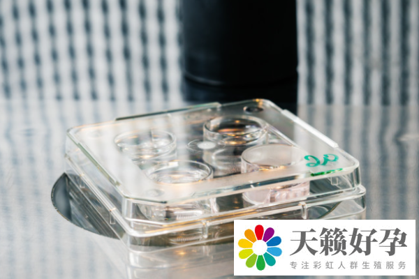 試管嬰兒(er) 費用為(wei) 什麽(me) 不一樣