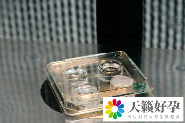 試管嬰兒(er) 醫院要去幾次