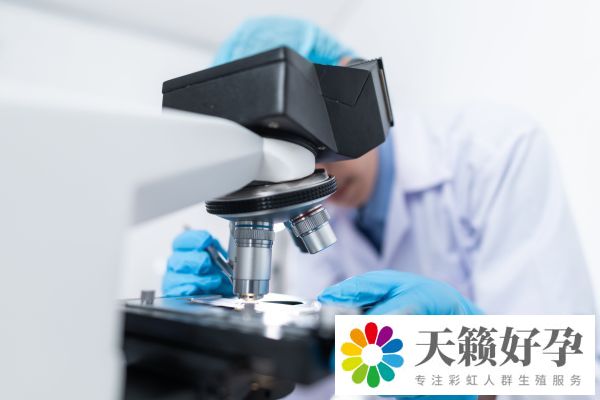 試管嬰兒(er) 的全部流程及費用