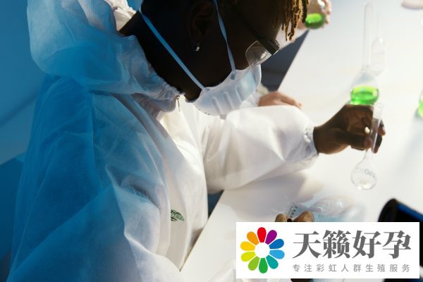 試管嬰兒(er) 成功率多高