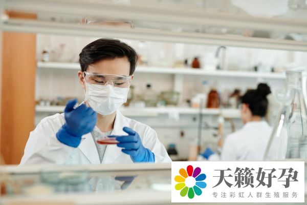 10個(ge) 人做試管幾個(ge) 能成功
