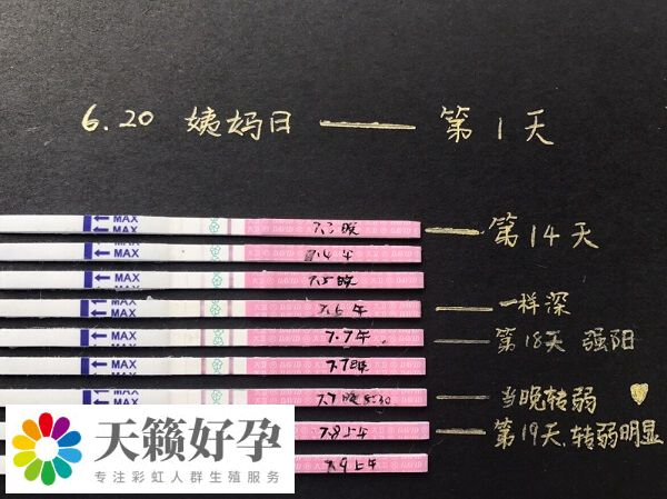 排卵試紙最好在月經結束一周後使用