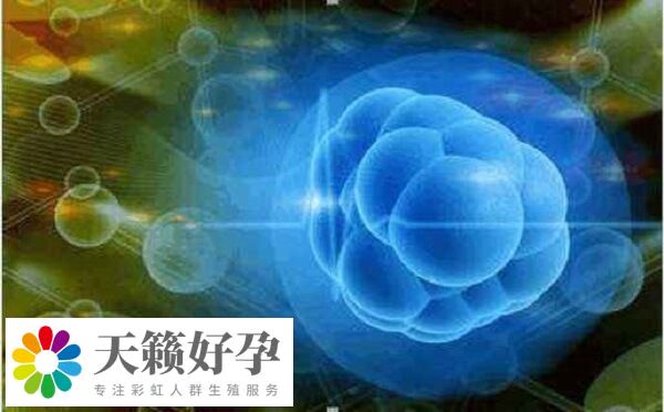 人工周期和自然周期哪個(ge) 好