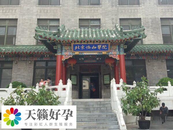 北京協和醫院試管雙胞胎多少錢