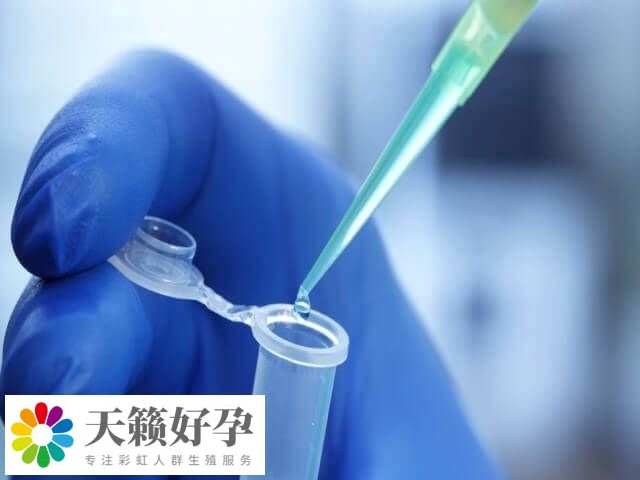 試管移植成功率影響因素多