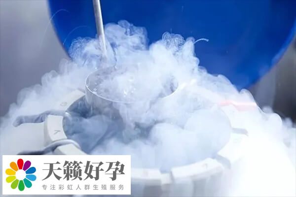 凍胚移植後激素水平會(hui) 改變