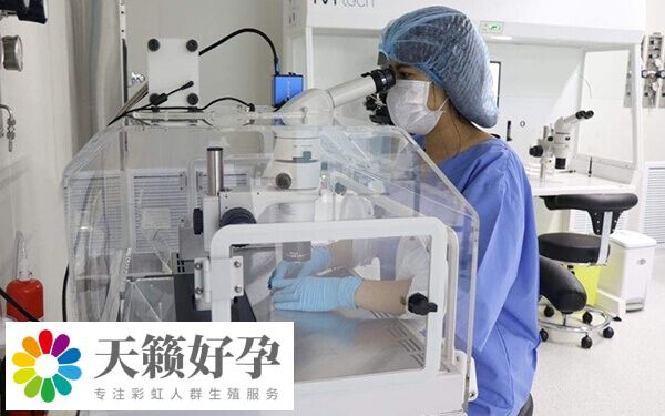 卵子質量差會(hui) 影響受精