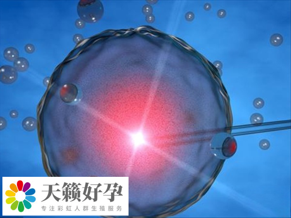 國內(nei) 禁止單身女性進行凍卵