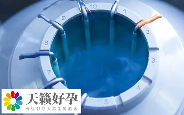 25歲-35歲是凍卵最佳時間